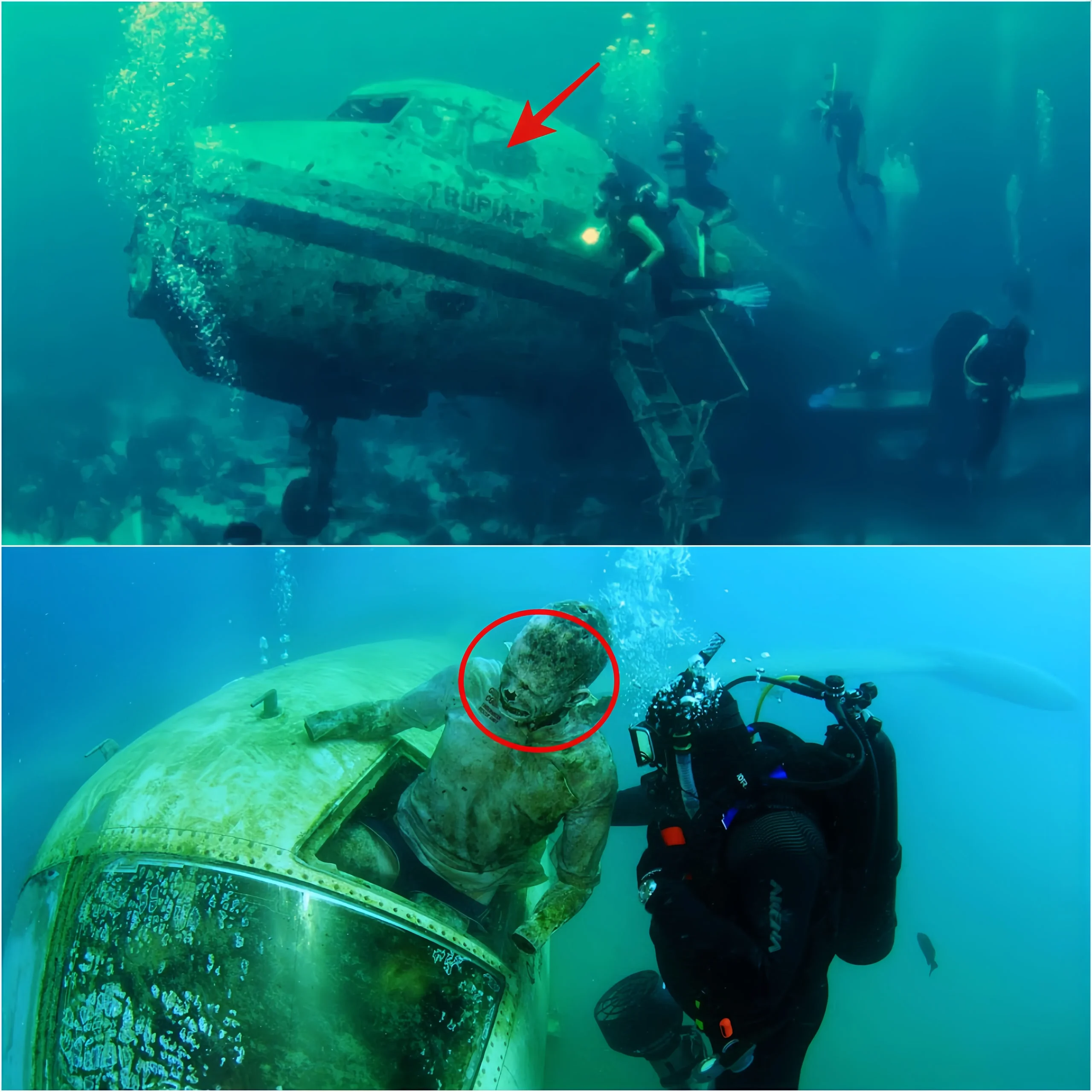 Cover Image for Découverte Glaçante : Un Avion Géant Intact Retrouvé Dans Les Profondeurs Mystérieuses Du Triangle Des Bermudes